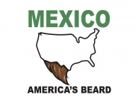 mexico usa beard