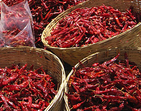 bhutan chile