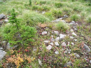 img_1170_2