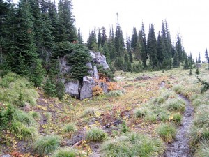 img_1178_2