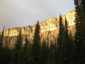 img_1181