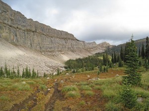 img_1184