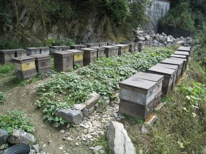 img_1662