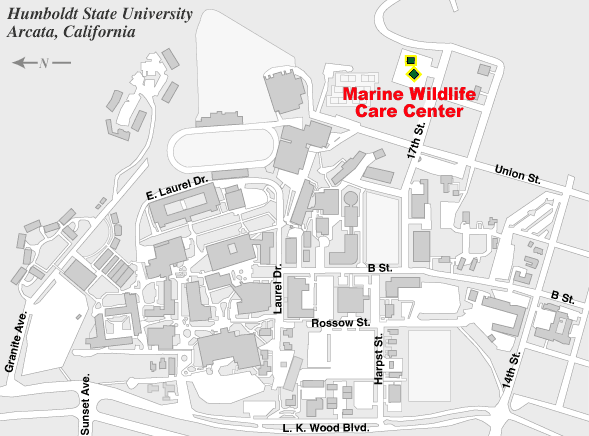 Location of Marine Wildlife Care Center